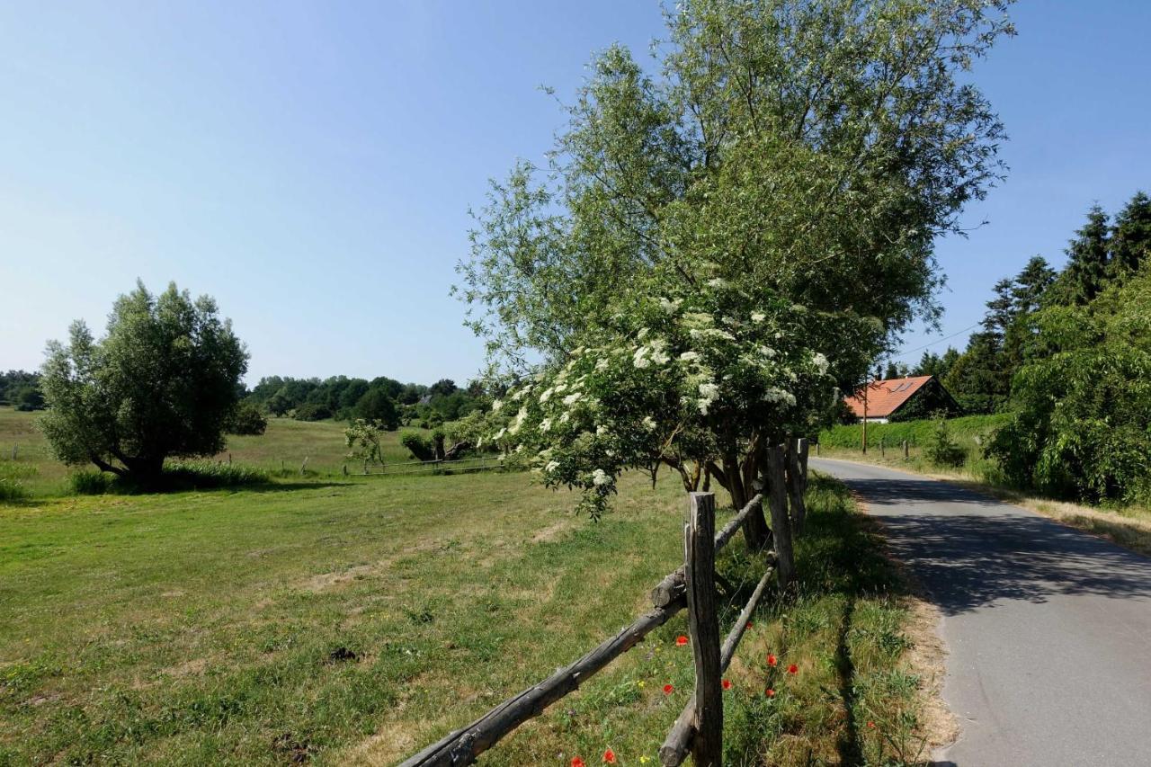 Ferienwohnung Mit Terrasse Gustow  Zewnętrze zdjęcie